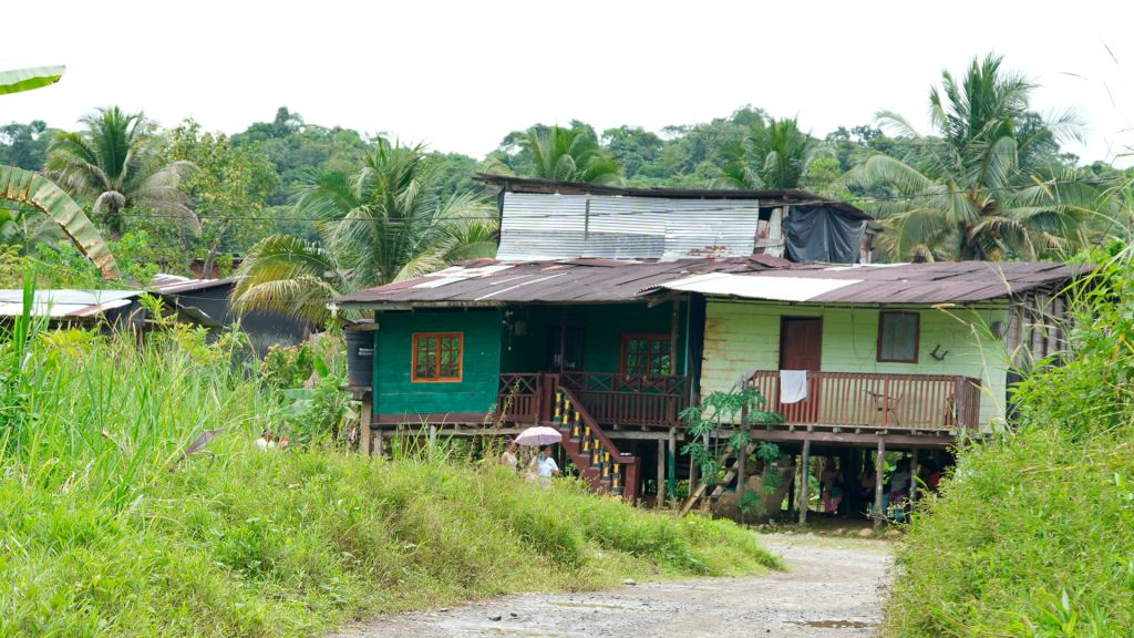 El Catastro Multipropósito y las Comunidades Negras en Colombia